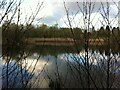 Pond, Prologis Country Park