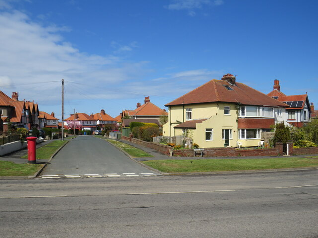 The Avenue, Whitby