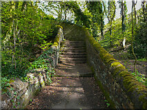 SE1125 : Steps on Footpath 9/368/1, Northowram by Humphrey Bolton