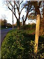 Signpost pointing to Elkin Wood