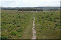 Footpath across Clifton Pastures ? 1