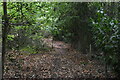 Tandridge Border Path