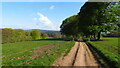 The Sandstone Trail south of Eddisbury Lodge Cottage, Delamere Forest