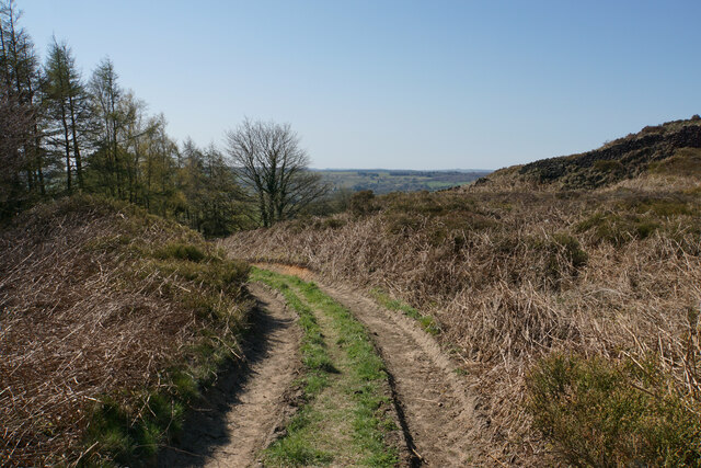 Track at Alicehead