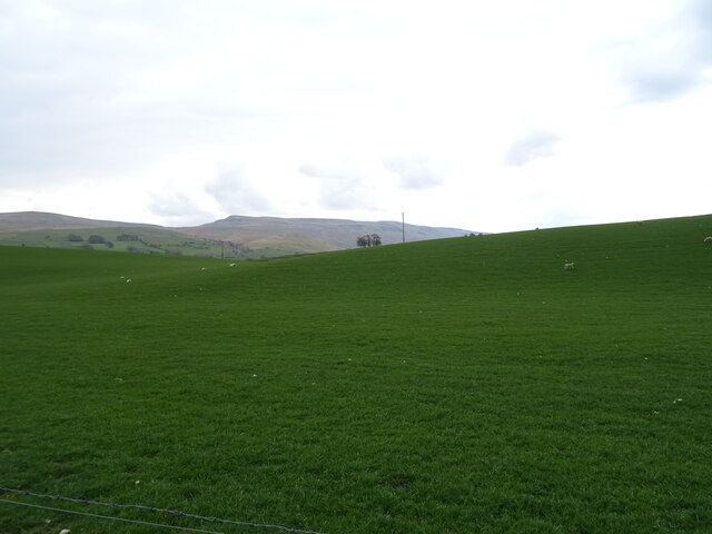 Grazing, Whinny Hill