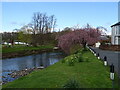 Bend in the River Eden, Appleby