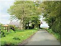 Country lane at Forcett