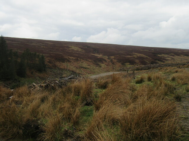 The head of Bransdale