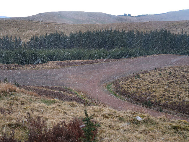 Clyde Wind Farm tracks and forestry