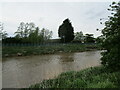 TF4408 : The River Nene behind Tesco, Wisbech by Jonathan Thacker