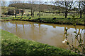 SK3367 : Duck pond at Stonedge Farm by Bill Boaden