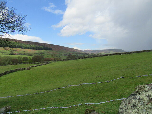Near the Old School House in Bransdale