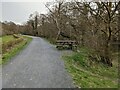 Picnic bench by the Mawddach Trail