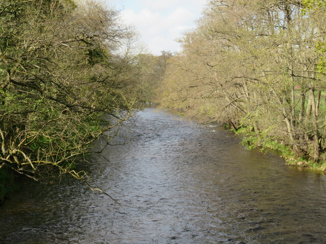 River Nidd upstream from Ross Bridge