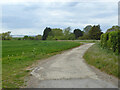 Private road to Downhall Beach Estate