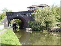 SO8963 : The Droitwich Barge Canal by Philip Halling