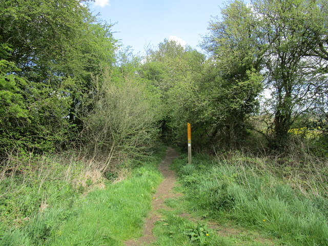 Footpath passing through a former field boundary