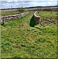 Bridge over disused railway