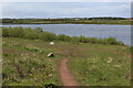 SE3927 : Main Lake in the St. Aidan's Nature Reserve by Chris Heaton