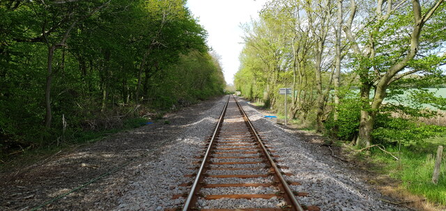 The track at Webby Wood level crossing - looking towards Beccles