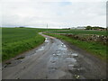 Minor road heading towards Kirkton Barns