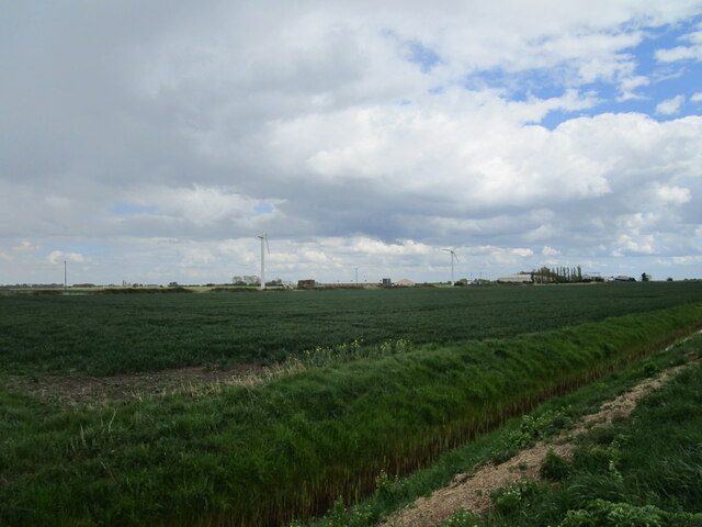 Fields off Black Drove