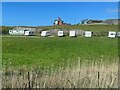 Caravans at Ynyslas, from a passing train