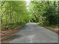 TG3131 : North on Plantation Road in Spring by David Pashley