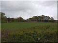 Farm buildings near Durleymoor Cross