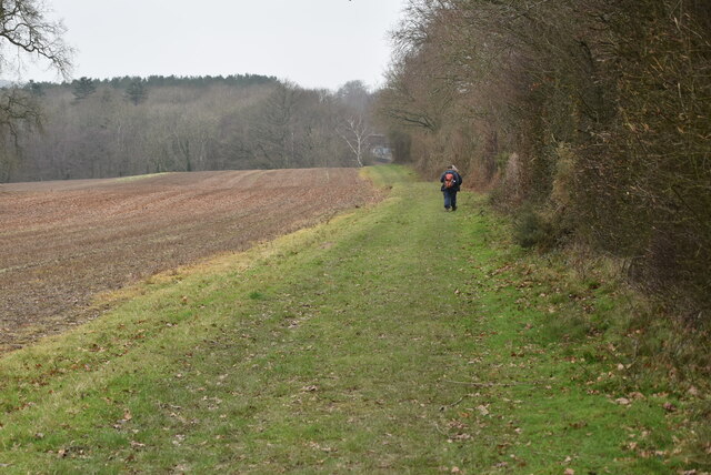 Footpath along field boundary