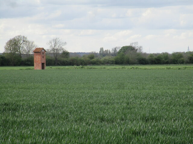Cereal field and Barn Owl Tower