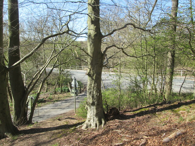 Danes  Dyke  Access  junction  onto  B1255