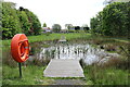 Pond at the Smallholding, Alloway