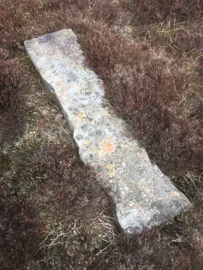 Old Boundary Marker on Dead Edge Flat
