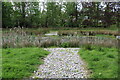 Pond at the Smallholding, Alloway