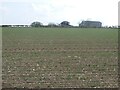 Farm buildings at Rocklands