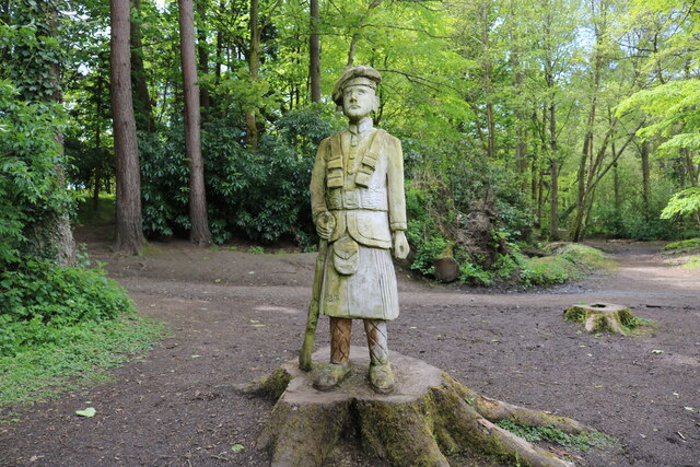 Remembrance Woodland, Rozelle Park © Billy McCrorie :: Geograph Britain ...