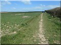 TA2271 : Field edge public footpath to North Cliff by Christine Johnstone