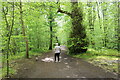 Woodland Track, Rozelle Park