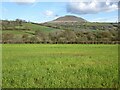 Farmland near Tredustan