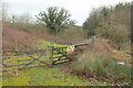 Linhay Hill Quarry