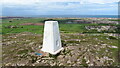 Graig Fawr - trig point