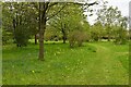 TL8064 : Little Saxham: Garden of Windsor Wood House by Michael Garlick