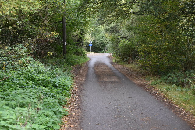 Hedgecourt Lake, Tandridge - Area Information, Map, Walks And More