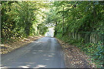 TQ3841 : Felcourt Lane by N Chadwick