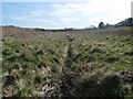 Plank bridge over a dry drain, near Brigg Bottom