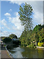 Canal in Swindon, Staffordshire