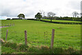 Green fields, Kilcootry