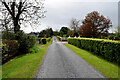 Neatly kept verges along Kilcootry Road