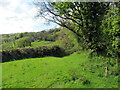 Llwybr Cwmyrhelem / Cwmyrhelem path